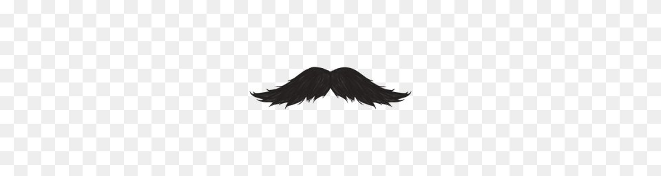 The Handlebar Moustache Brush Stroke Icon, Face, Head, Mustache, Person Free Png