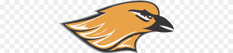 The Hartford Orioles Hartford Union High School Football, Animal, Beak, Bird, Fish Free Transparent Png