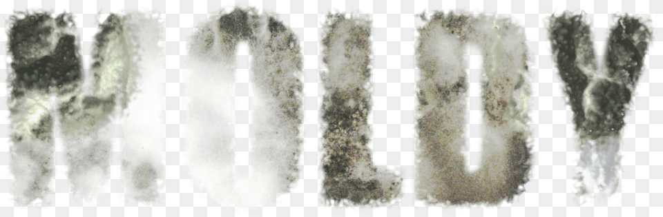 The Health Hazards Of Toxic Mold Word Moldy, Art, Collage, Outdoors, Nature Free Png Download