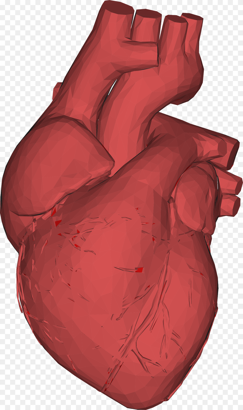 The Heart Of Matter Single Steps Learning Project Background Anatomical Heart, Adult, Female, Person, Woman Free Transparent Png