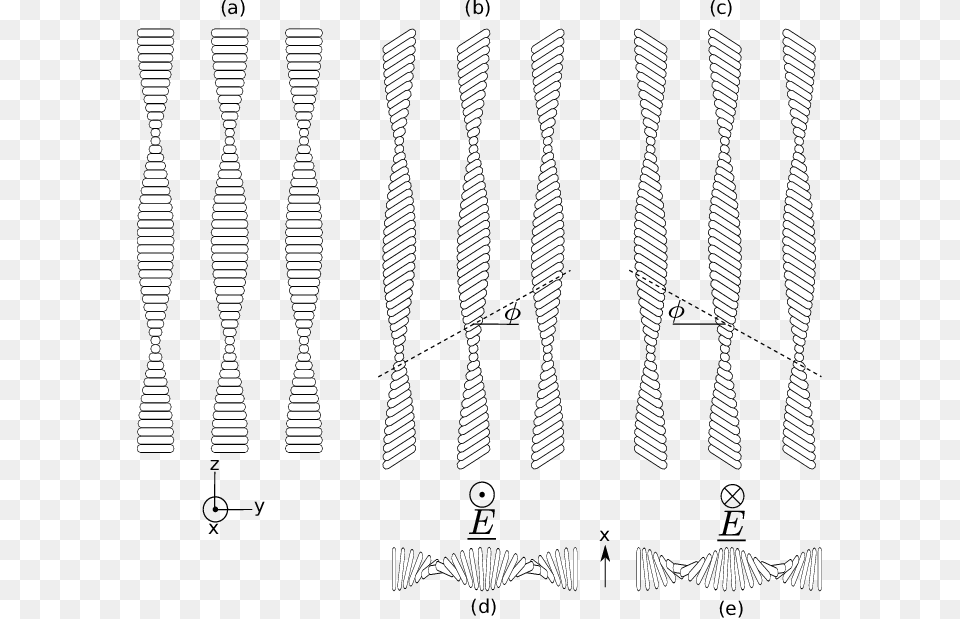 The Helical Flexo Electro Optic Effect Line Art, Accessories, Formal Wear, Tie, Oars Png