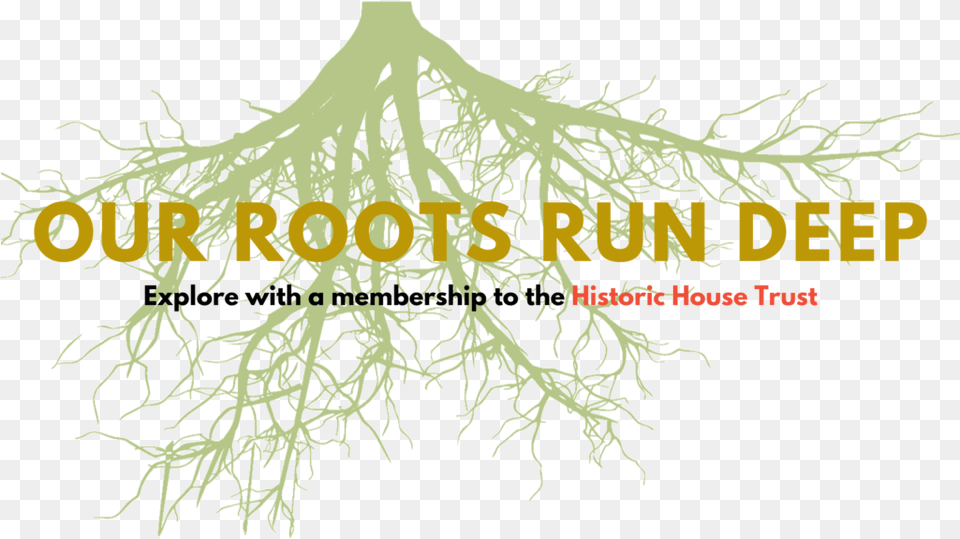 The Historic House Trust Roots Cartoon, Plant, Root, Animal, Dinosaur Png Image