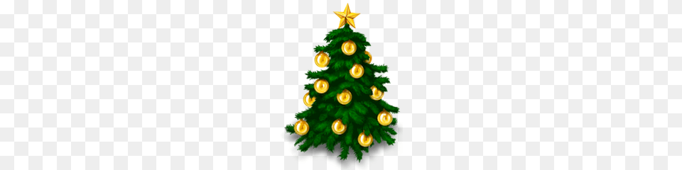 The History Of Christmas Trees, Tree, Plant, Winter, Snowman Free Png Download