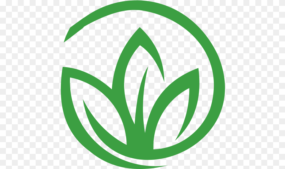The History Of Medical Marijuana In Lauderhill Highlife Marijuana, Logo, Leaf, Plant, Symbol Free Png Download
