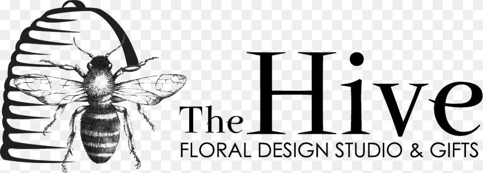 The Hive Floral Design Studio Amp Gifts Hornet, Animal, Bee, Insect, Invertebrate Free Png