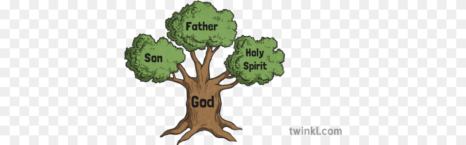 The Holy Trinity Tree Illustration Twinkl Father Son Holy Spirit Tree, Vegetation, Plant, Land, Nature Free Png Download
