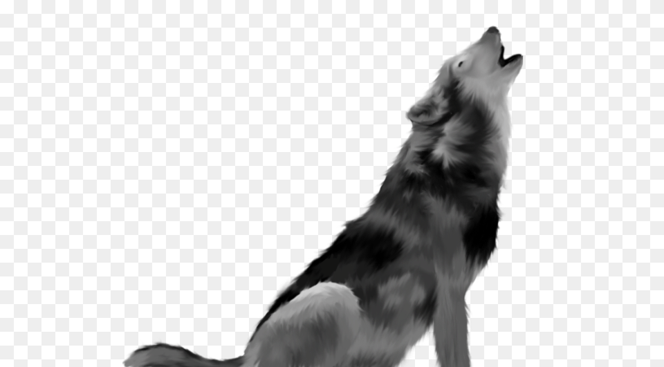 The Homebrewery, Animal, Mammal, Wolf, Canine Free Png