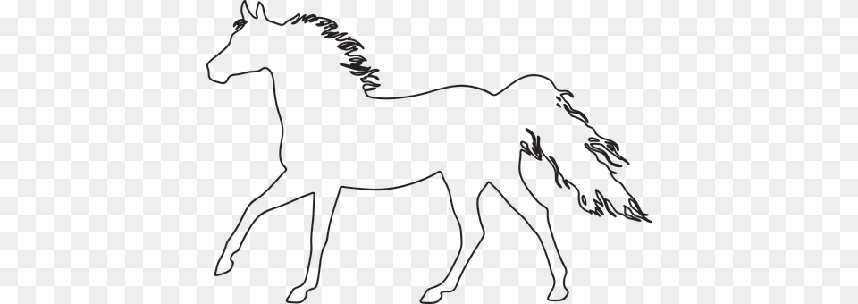 The Horse Animal, Colt Horse, Mammal, Foal Free Transparent Png