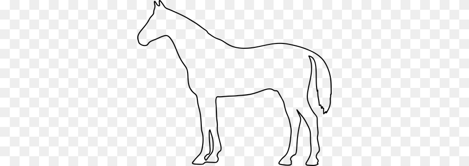 The Horse Gray Free Transparent Png