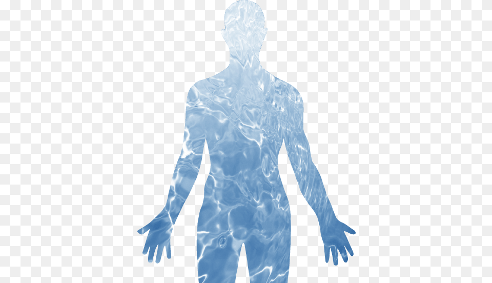 The Human Body Is Primarily Composed Of Water With Human Body Water, Back, Body Part, Person, Adult Png Image