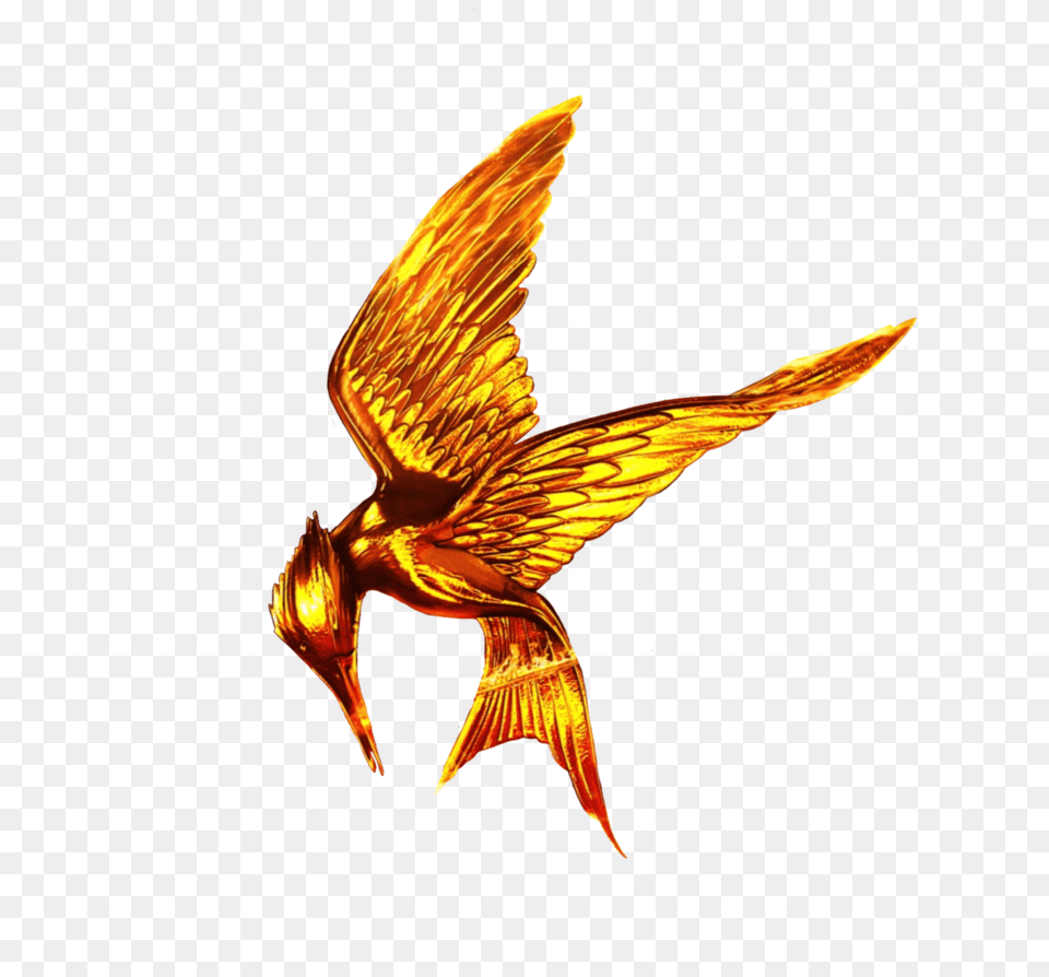 The Hunger Games Download, Animal, Bird Free Png