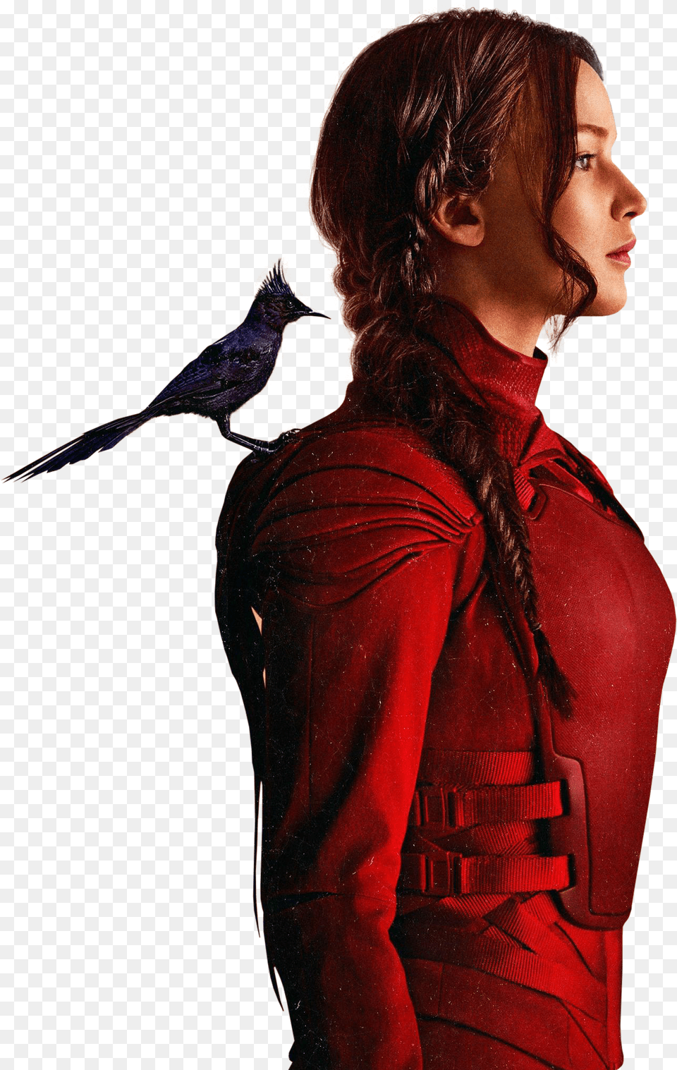 The Hunger Games Hunger Games Katniss, Adult, Person, Woman, Female Free Png