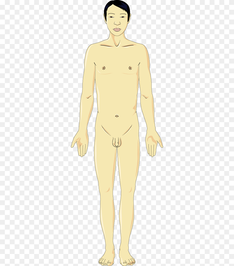 The Image Mannequin, Adult, Male, Man, Person Free Png Download