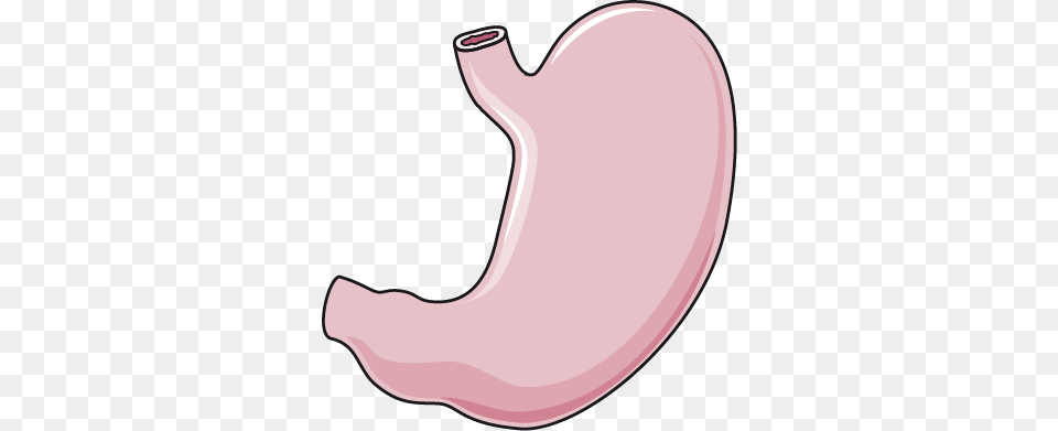 The Image Stomach, Body Part, Smoke Pipe Free Transparent Png