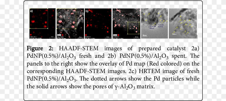 The Images Clearly Show The Porous Nature Of The Alumina, Art, Collage, Night, Outdoors Png