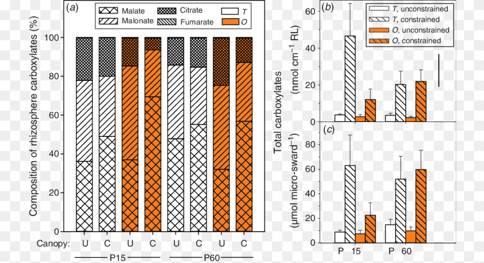 The Impact Of Unconstrained And Constrained Canopy, Scoreboard Png