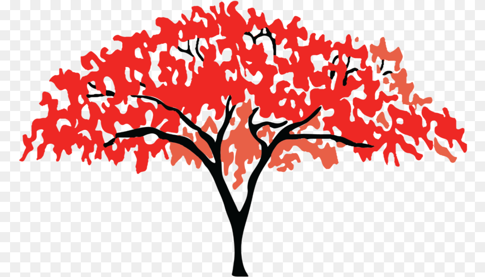 The Importance Of Impact U2014 Flame Tree Initiative Red, Maple, Plant, Flower, Leaf Free Transparent Png