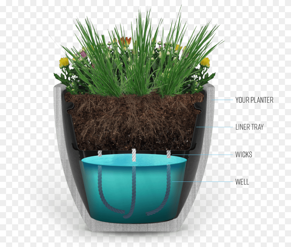 The Industries Best Self Watering Solution Home, Jar, Plant, Planter, Potted Plant Png Image