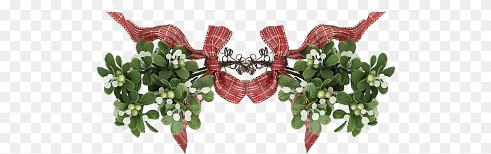 The Inside Of Mistletoe Berries Is Dangerous For The Gui L An Neuf, Accessories, Pattern, Graphics, Floral Design Png