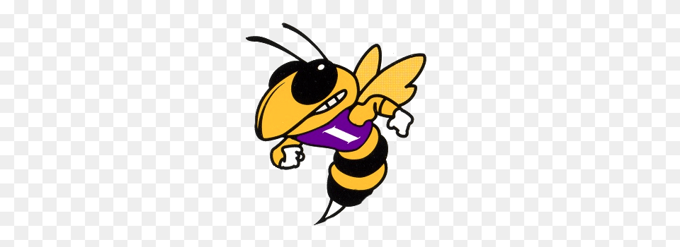 The Iowa Yellow Jackets, Animal, Bee, Honey Bee, Insect Free Transparent Png