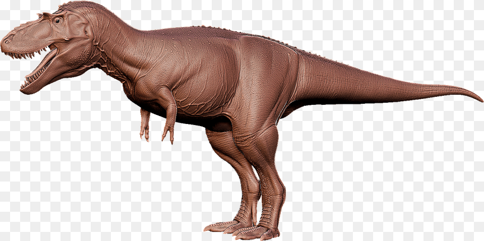 The Isle Wiki Albertosaurus The Isle Model, Animal, Dinosaur, Reptile, T-rex Png