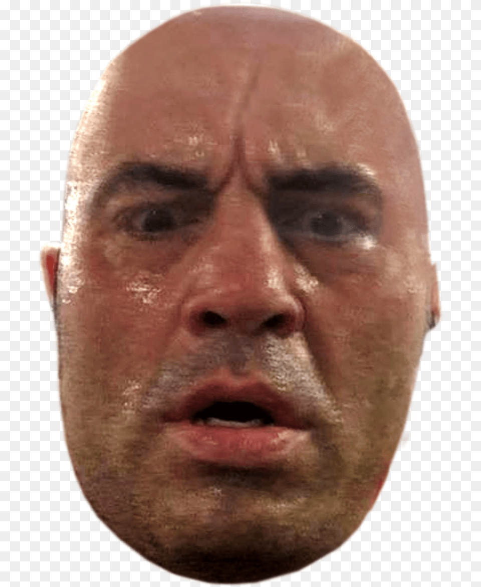 The Joe Rogan Experience Ultimate Fighting Championship Joe Rogan Transparent, Face, Head, Person, Adult Png