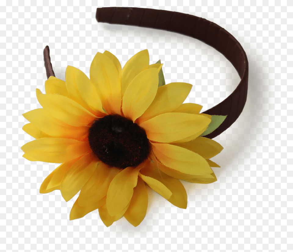 The Jordyn Rene Headband, Daisy, Flower, Flower Arrangement, Plant Png