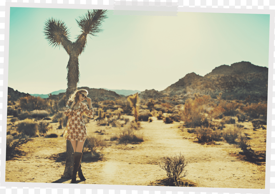 The Joshua Tree Shrubland, Woman, Adult, Person, Female Png