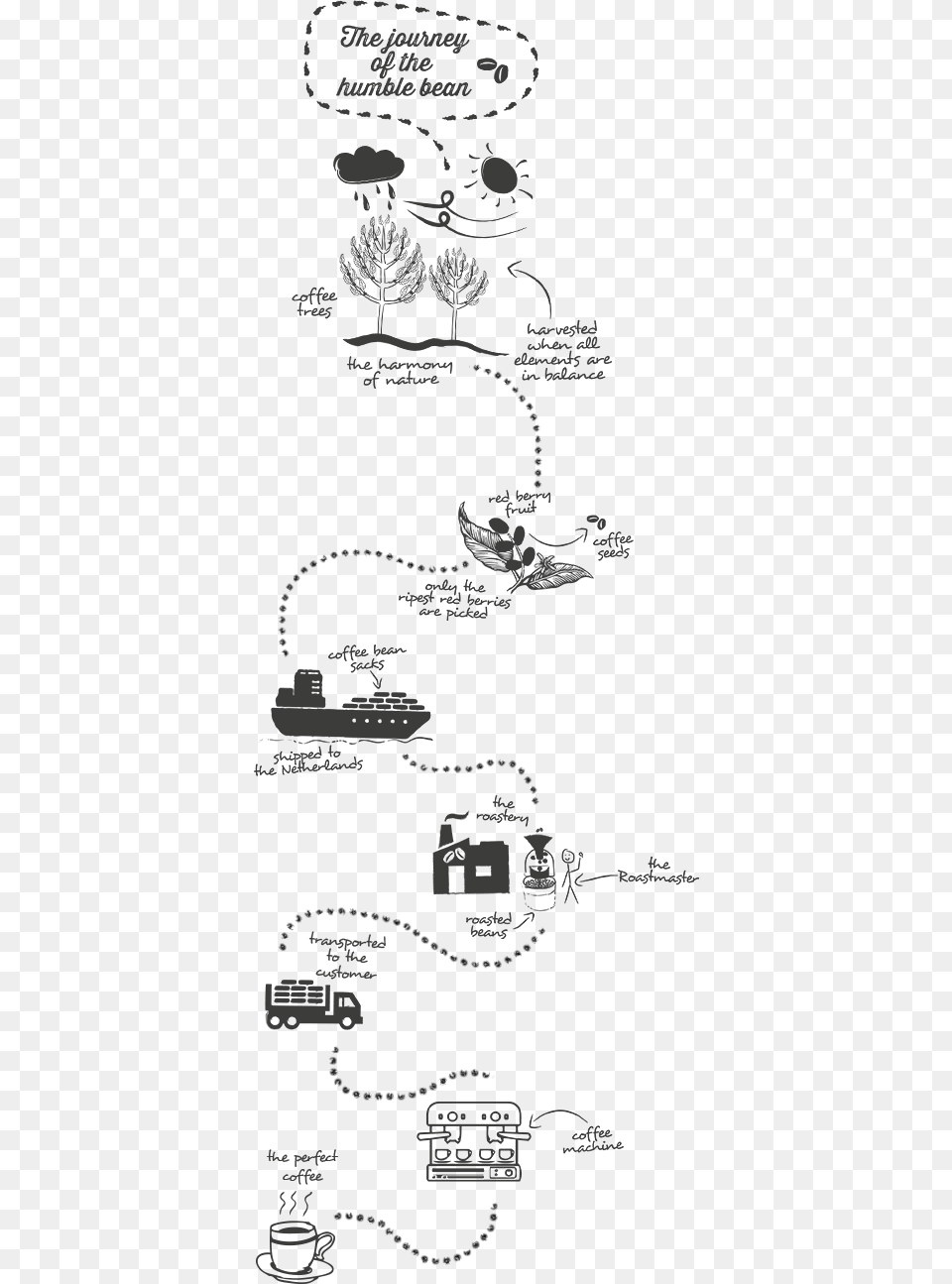 The Journey Of A Bean Journey Of Coffee, White Board, Boat, Transportation, Vehicle Free Transparent Png