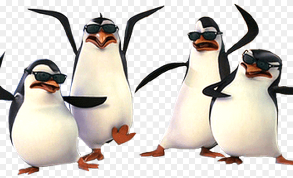 The Judges For The West Central Tribune S Pickle Herring Madagascar Penguins Transparent, Accessories, Sunglasses, Wedding, Person Png