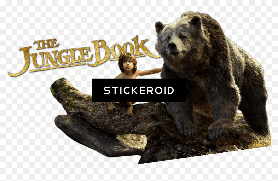 The Jungle Book Disney, Animal, Bear, Mammal, Wildlife Png Image