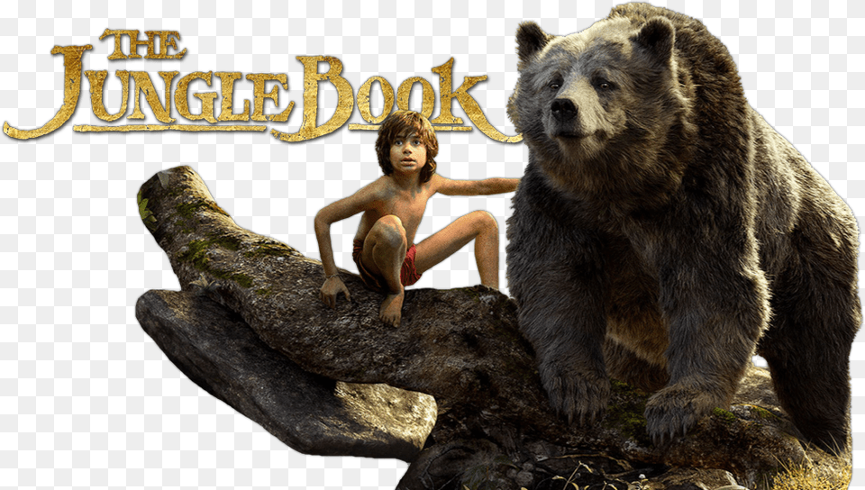 The Jungle Book File Jungle Book 2016 Baloo, Animal, Bear, Wildlife, Mammal Free Png Download