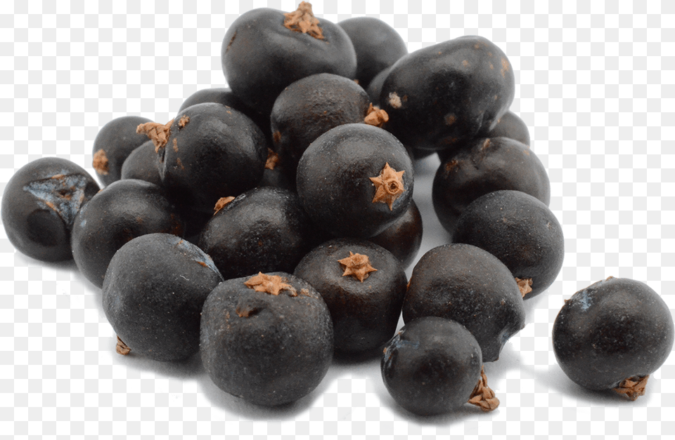The Juniper Dilemma Bilberry, Berry, Blueberry, Food, Fruit Png Image