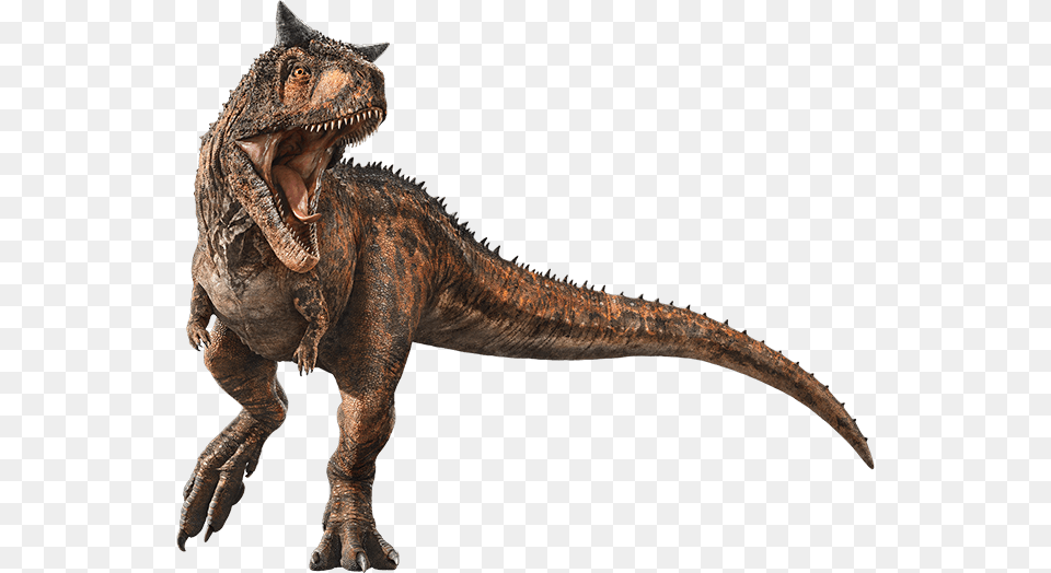 The Kaiju Brony Official Jurassic World Fallen Kingdom Dinosaur, Animal, Reptile, T-rex Free Png