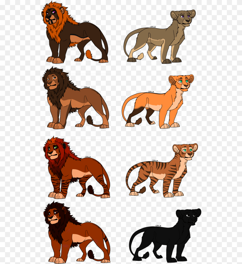 The King And Queen Have Returned Masai Lion, Animal, Mammal, Wildlife, Comics Png Image