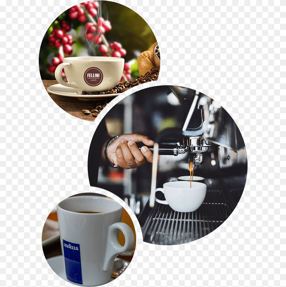 The Kony Grinder Grinds The Coffee Beans A Cup At Barista Kopi, Saucer, Beverage, Coffee Cup, Art Free Png Download