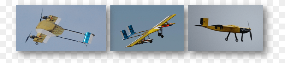 The Lab Was Also Used To Construct And Test One Of Model Aircraft, Animal, Flying, Bird, Transportation Free Png