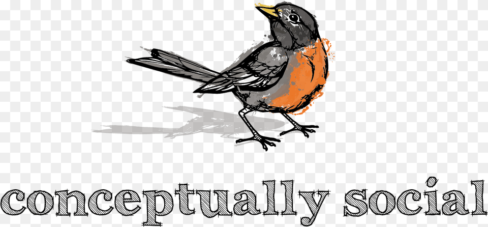 The Larry Phx, Animal, Bird, Blackbird, Robin Free Png