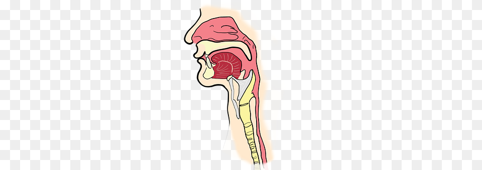 The Larynx Baby, Person, Body Part, Face Free Png Download