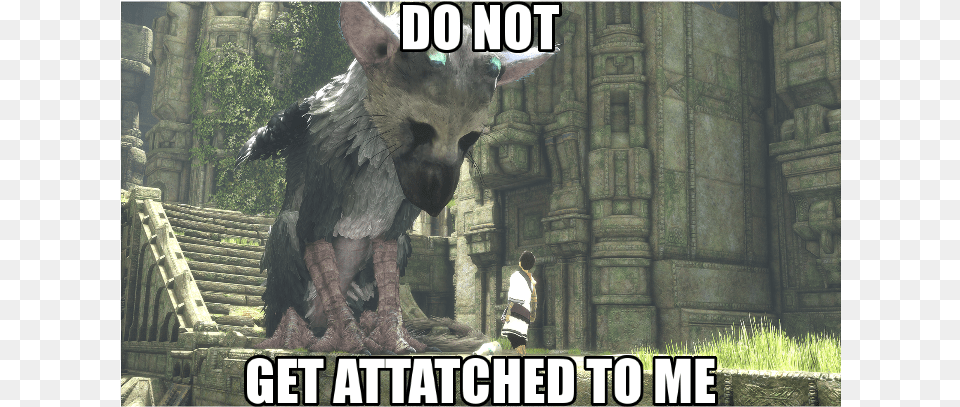 The Last Guardian Knowing That This Game Takes Place Shadow Of Colossus Memes, Animal, Zoo, Person, Horse Png