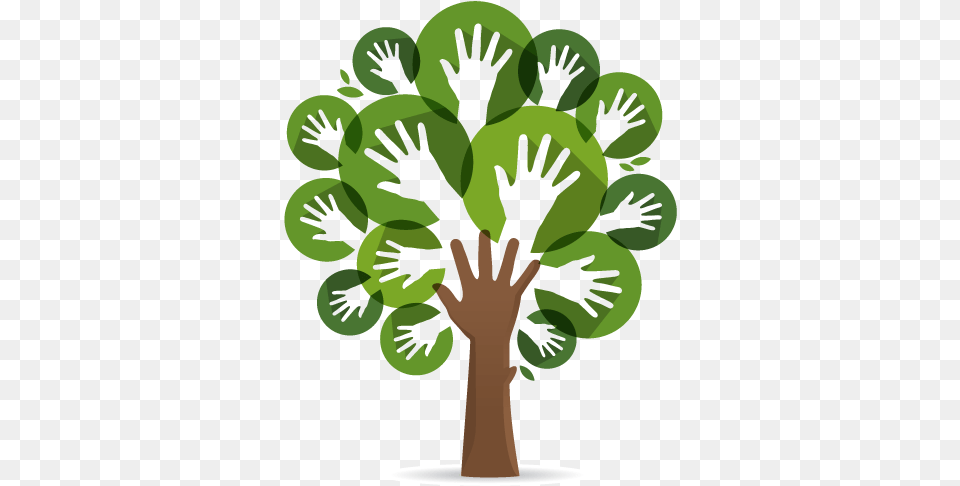 The Laurel Foundation39s Educational And Support Programs Illustration, Green, Plant, Tree, Leaf Free Png
