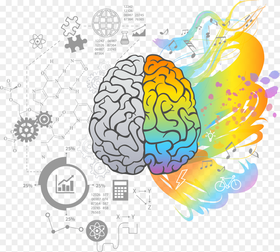 The Left Brain Left And Right Brain Concept, Art, Graphics, Animal, Sea Life Free Png Download