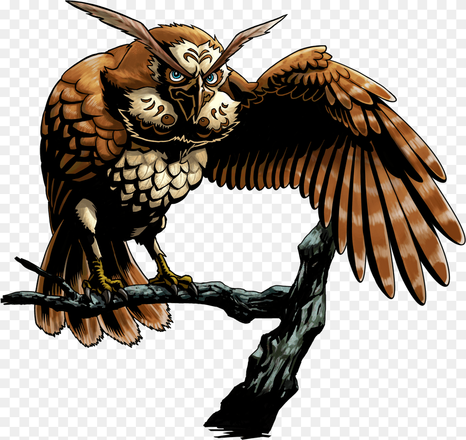 The Legend Of Zelda Kiepura Gabora Zelda Owl, Animal, Bird, Beak, Vulture Free Png Download