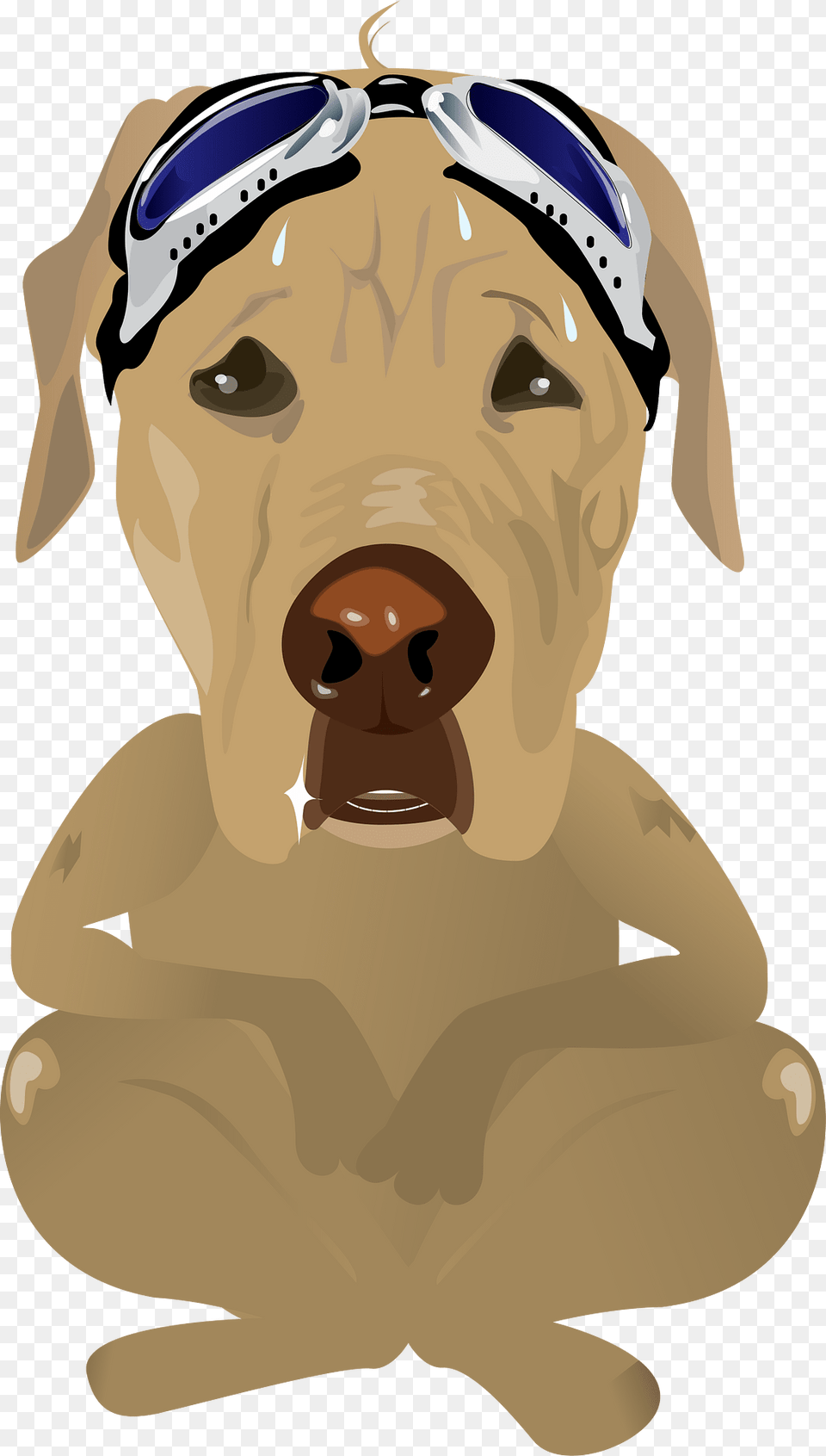 The Limited Clipart, Baby, Person, Animal, Canine Png Image