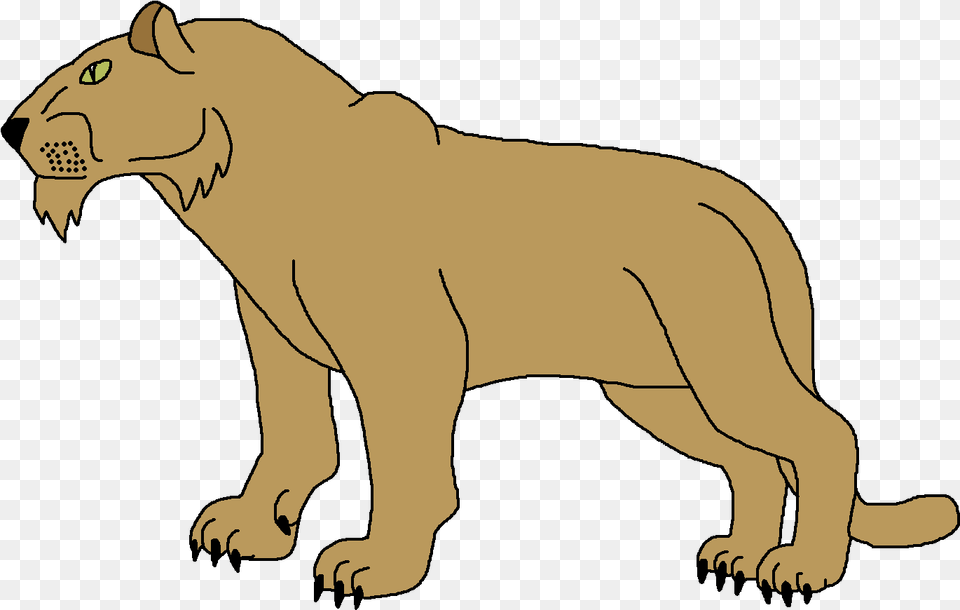 The Lion, Animal, Mammal, Wildlife, Bear Free Png Download