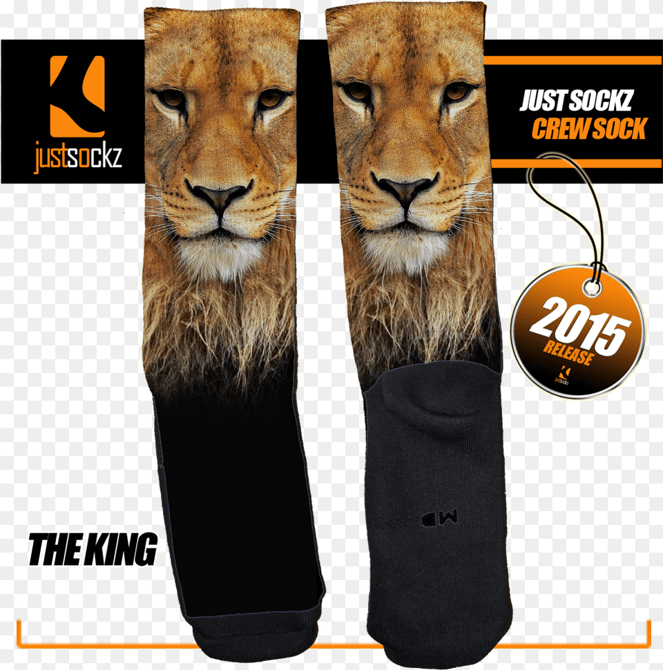 The Lion King Jordan Space Jam Elite Socks, Animal, Mammal, Wildlife, Advertisement Png Image