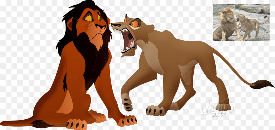 The Lion King Tiger Scar Simba Lion King Scar39s Lion Guard, Animal, Wildlife, Mammal, Adult Png