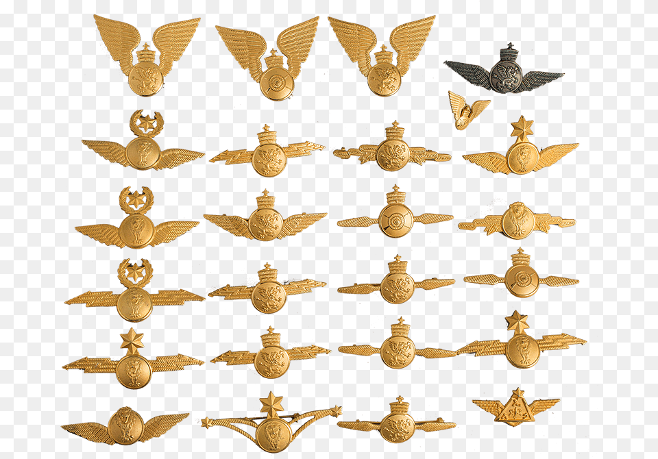 The Lion Of Judah Military Badge Wings With Lightning Bolt, Bronze, Treasure, Animal, Bird Png Image