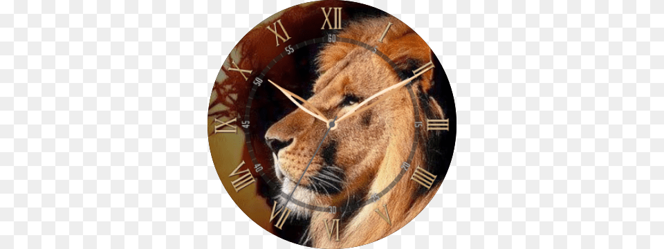 The Lion Of Judah Preview, Animal, Mammal, Wildlife, Clock Png Image