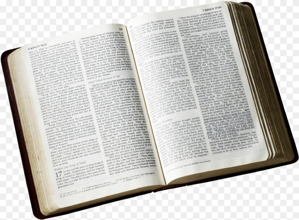 The Living Bible The Message Bible Study Sermon Open Bible Gif Animated, Book, Page, Publication, Text Png